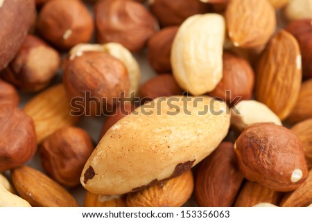 Background from various kinds of nuts (almond, hazelnut, cashew, Brazil nut)