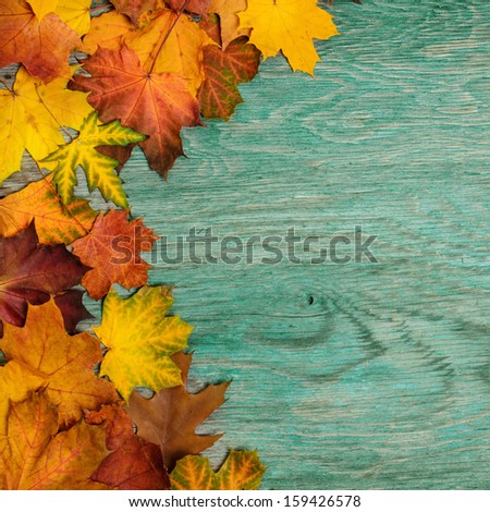 Frame from vivid colorful autumn leaves on the grunge wooden cyan desk, vintage seasonal background