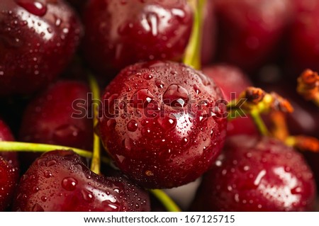 Background from sweet fresh wet  red cherry, macro image