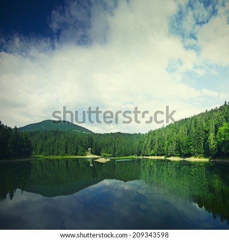 Carpathian mountains summer  landscape with lake Sinevir, retro style