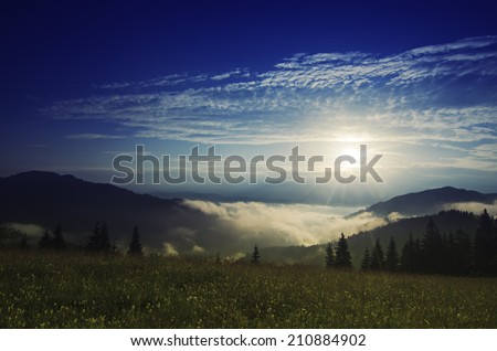 Foggy morning shiny summer landscape with mist, green meadow and sun shining