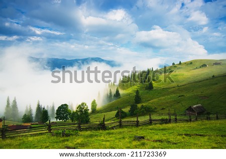 Foggy morning shiny summer landscape with mist and green meadow