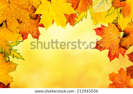 Frame from vivid colorful autumn leaves, natural seasonal background