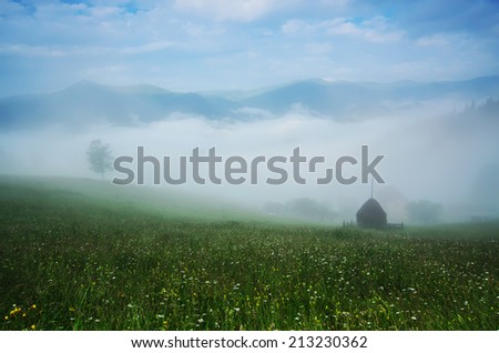 Foggy morning shiny summer landscape with mist and green meadow