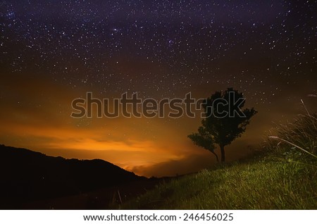 Night sky with lot of shiny stars, rock and tree are at front