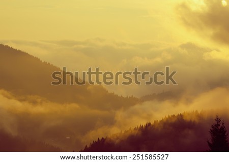 Foggy morning shiny summer landscape with mist and  golden forest