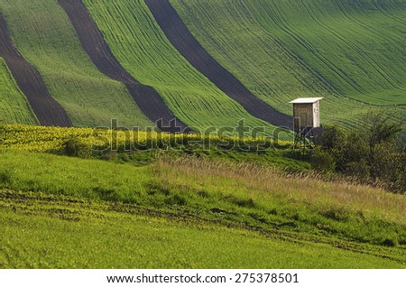 Rural landscape with fields, waves and wooden hunting shack , South Moravia, Czech Republic