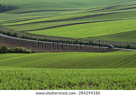 Rural landscape with green wavy fields, road and car, South Moravia, Czech Republic