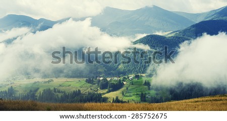Foggy mountain  summer landscape with mist and green meadow - panoramic view