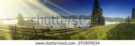 Foggy morning panoramic shiny summer landscape with mist