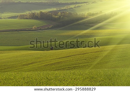 Rural sunny landscape with fields, waves and wooden hunting shack