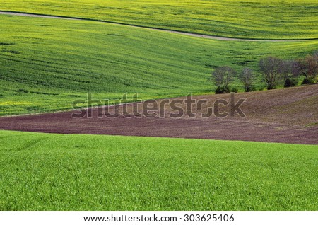 Rural landscape with fields and trees, South Moravia, Czech Republic, natural abstract geometric background