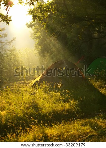 Tent under beams of the morning sun in the forest