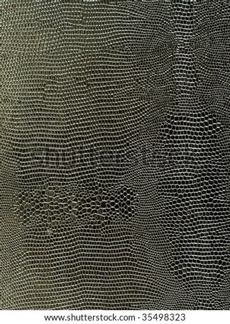 Black Snakeskin Texture