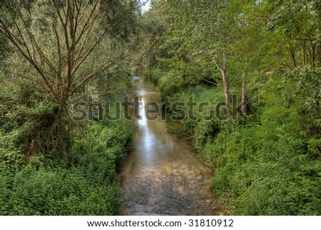 Small river running through woodland (landscape)