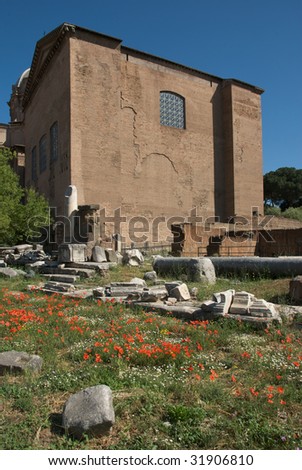 Senate house and poppies, Rome Forum