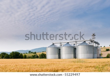 Grain store in early morning wheat field