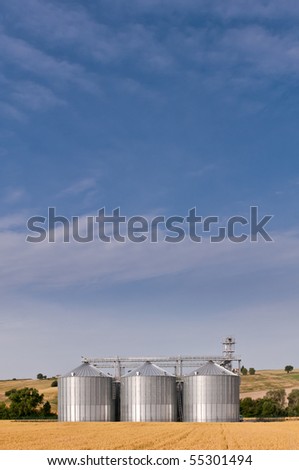 Grain store in wheat field with morning sky