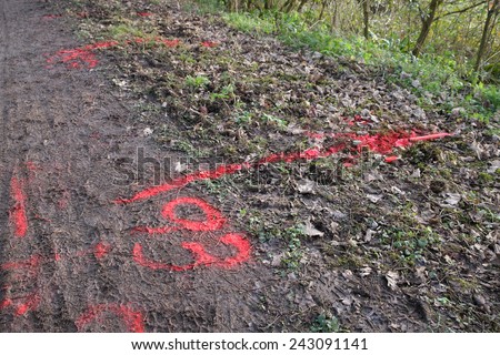 Markings in the mud where a gas leak has been detected, ready for the repair crew to come and fix