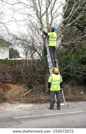Two men trimming trees, beside the highway, Bristol, England, UK, February 2015