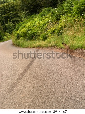 car crash skid marks on a rural road heading into the undergrowth