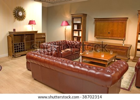 Luxurious And Cozy Dining Room With Expensive Leather Sofa And Arm ...