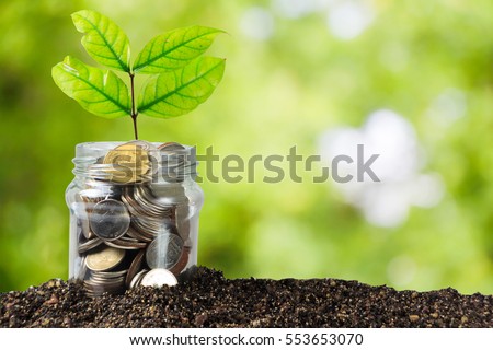 Savings money jar full of coins on soil /Plant Growing In Savings Coins/ investment and etirement or education Concept