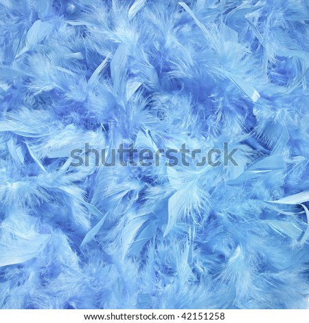 Fluffy background. Blue feathers