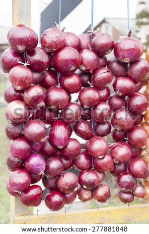 For sale at the village market, after the winter onion preserve, canning fruits and vegetables