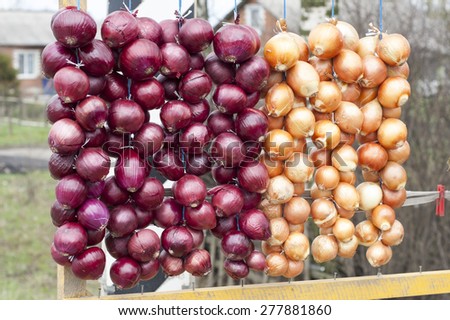 For sale at the village market, after the winter onion preserve, canning fruits and vegetables