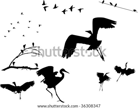 stock photo : Several flock of birds silhouettes, sitting on a dead tree, on
