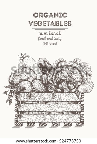 Vintage vegetables organic food, fresh vegetables in box. Farmers market vegetables. Organic food poster design template. Natural food for farmers market. Hand drawn vector illustration