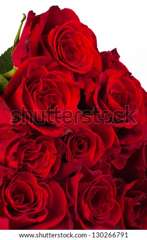 Red natural roses