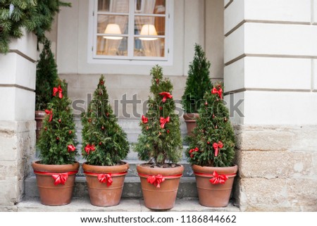 Decorated with red bows and balls Christmas trees in pots near house