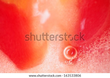 [Obrazek: stock-photo-red-tomato-cross-section-mac...533806.jpg]