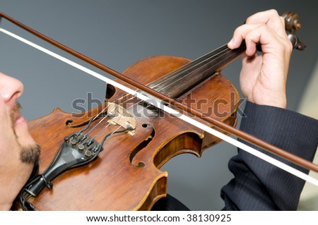 The musician the violinist plays a violin, a musical instrument close