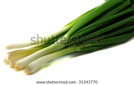 bunch of scallions