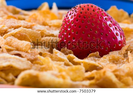 Macro shot of a strawberry with corn flakes. Focus on the strawberry. Part of the breakfast series images.