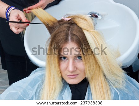 stylist coloring attractive woman hair in salon