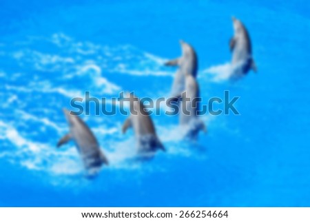 five dolphins swim in the pool ,blurred for presentations, abstract background