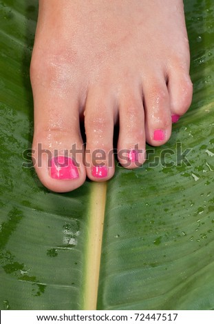 wet woman foot on the green leaf