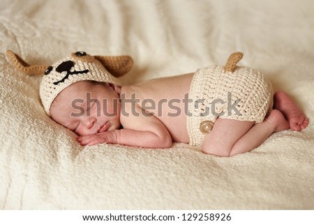 sleeping funny newborn wearing dog costume
