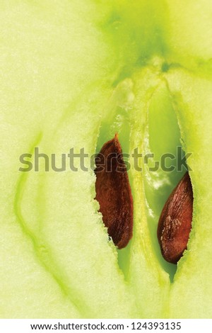 Apple half cut, green core and seeds, smith manzana macro closeup background