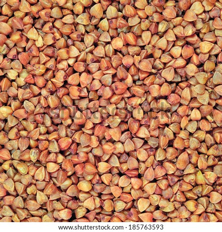 Raw buckwheat groats background, dry cereal seeds, large detailed textured macro closeup abstract grain texture pattern