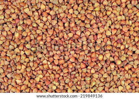 Raw buckwheat groats background, dry cereal seeds, large horizontal detailed textured macro closeup abstract grain texture pattern