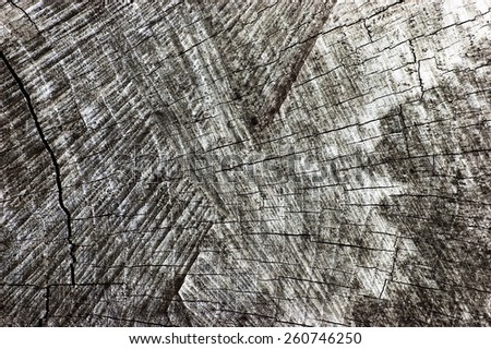 Natural Weathered Grey Tree Stump Cut Texture, Large Detailed Old Aged Gray Lumber Background Horizontal Macro Closeup, Dark Black Textured Cracked Pattern