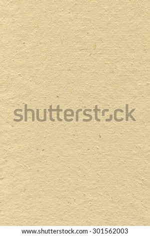 Beige cardboard rice art paper texture vertical bright rough old recycled textured blank empty grunge copy space background large aged detailed grungy macro closeup fiber vintage rustic pattern sheet