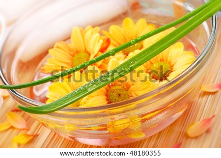 home spa with yellow flowers floating in bowl and drops of water on leaves