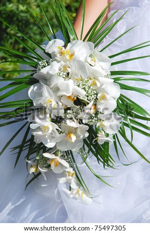 stock photo bride holding beautiful wedding bouquet with white orchid