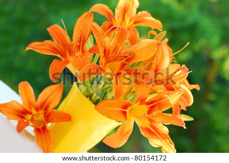 stock photo orange daylily flowers bouquet in yellow vase against green 